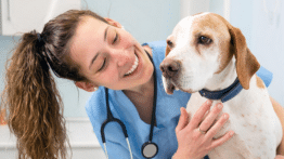 Curso Auxiliar Veterinario Mulher Acariciando Cachorro Clinica